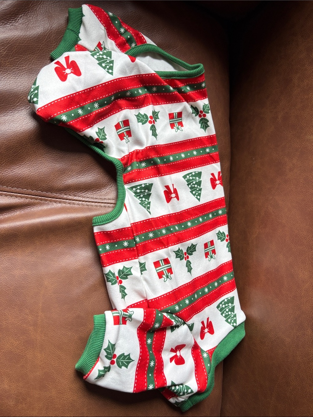 Holiday Red & Green Christmas Dog Tee